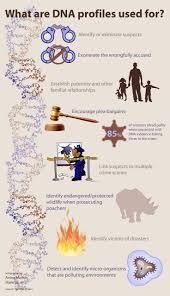 What Dna Profiles Are Used For Dna Profile Forensic Science Forensic Science Science Classroom Decorations Dna Project