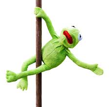 Muppets funny comedy frog henson. Pole Dance Kermit Funny Soft Free Photo On Pixabay