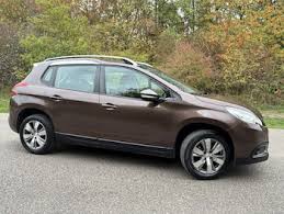 Image result for Brown Squirrel 2014 Peugeot