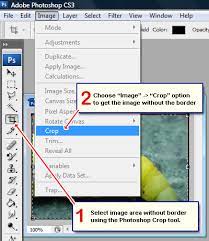 How To Remove Image Border - Quick Steps