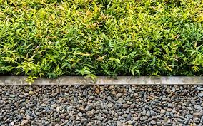 But that doesn't mean you should shop there for all your home needs. How To Organize Landscaping Borders The Home Depot