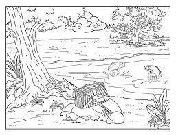 Epingle Sur Coloriage