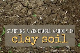 Check spelling or type a new query. Starting A Vegetable Garden In Clay Soil Preparednessmama