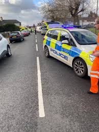 They provide habitats (homes) for all sorts of insects, birds and other animals. Girl Crushed By Tree Outside King Henry School Erith News Shopper