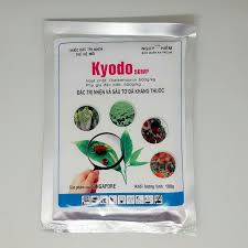 Kyodo 50WP