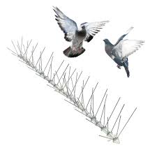 Transonic pro drives pests away with constantly changing sounds. Bird X Store Online Shopping In United Arab Emirates At Desertcart Ae