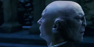 How Did Voldemort Progress Into His Final Physical Form From When He Was A  Child? - Quora