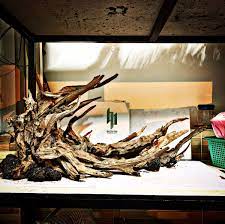 Pin By Bachphi On Aquarium Akuarium Seni