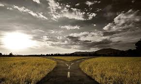 My meals are always good and the staff is always friendly. A Fork In The Road John Forbis