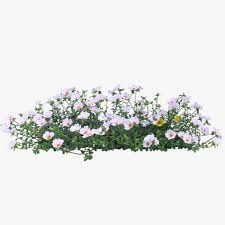 Greenery Garden Flowers Png Image And Clipart Photoshop Landscape Photoshop Backgrounds Free Flowers