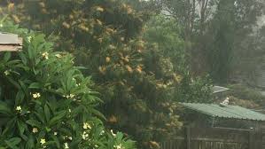 Flood warnings from the bureau of meteorology (bom) remain in place for 15 river systems across the state. Heavy Rain Triggers Flood Warnings In New South Wales