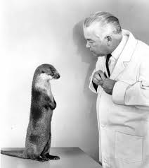 Keller Breland Biography