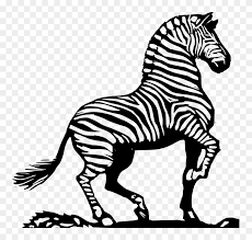 Download transparent zebra png for free on pngkey.com. Zebra African Zebra Striped Zebra Zebra Clipart Black And White Png Download 4753063 Pikpng