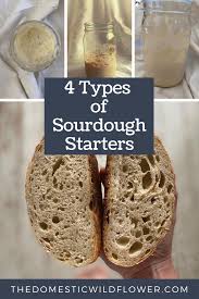 4 Types Of Sourdough Starter Sourdough Starter Sourdough Sourdough Recipes