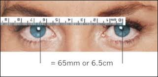 Download and launch the free pdcheck app. Measuring Your Pupillary Distance Coco Leni