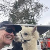 Campervan for Hire in Menai NSW from $200.00 "Awesome Ollie" :: Camplify