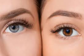 Plus de 99 modèles différents, de 40 ml à 5 litres. L Huile De Ricin Fait Elle Pousser Les Cils Voici La Reponse