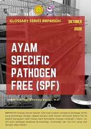 Check spelling or type a new query. Bbp Balai Besar Pengujian Mutu Dan Sertifikasi Obat Hewan Facebook