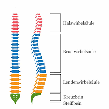 Ruckenschmerzen Ursachen Behandlung Und Ubungen Liebscher Bracht