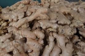 فوائد الزنجبيل للصحة health benefits of ginger ginger benefits home remedies