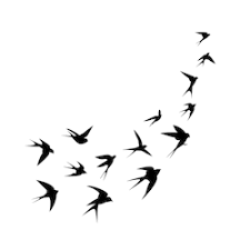 Stock Image Animals Wildlife Black And White Birds Bird Silhouette Tattoos Bird Silhouette