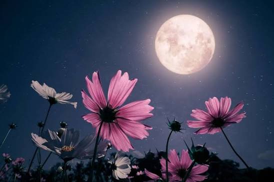 Какая Луна! 11 интересных фактов о спутнике Земли 🌛 - Телеканал «О!»