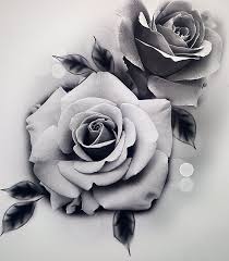 Pin By Jennifer Sutton Wurtzinger Pop On 玫瑰 In 2020 Rose Drawing Tattoo Rose Flower Tattoos Realistic Rose Tattoo