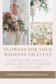 We did not find results for: Popular Flowers In Season In Australia For Weddings Flowers By Gwyneth