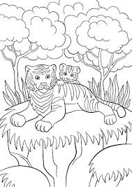 Pixabay / unsplash no matter your age, where you live or what you do for a living, one thing's for certain: Coloring Pages Wild Animals Smiling Mother Tiger With Her Baby Clipart Image