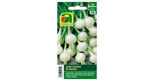 Ideal for pickling and 'giardiniera'. Austrosaat Pearl Onions De Barletta 1 Package Bloomling Uk