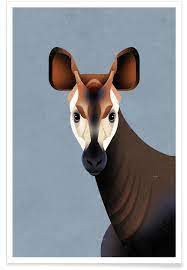 It is known locally by such names as the atti, or the o'api, resembling a cross between a zebra, a donkey and a giraffe. Vintage Okapi Poster Juniqe