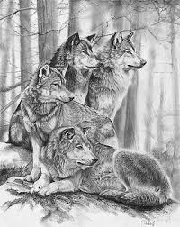 Wolf Pack By Peter Williams Wolf Pack Tattoo Wolf Artwork Wolf Tattoo Sleeve