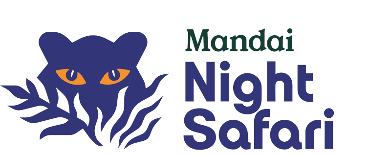Night Safari — Family Attraction