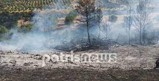 Check spelling or type a new query. Qj0tlqhtny7gvm