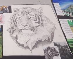 More from this artist similar designs. Caitlin Mccann Tiger Realistic Pencil Drawing