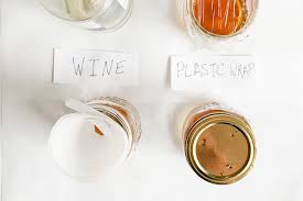 The Best Diy Fruit Fly Trap For Getting Rid Of Fruit Flies Kitchn