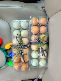 Florida here. I have 36 Silkie eggs in 2 Nurtureright 360 incubators. If we  lose power is there anything I can do? They have 1 week left to hatch.