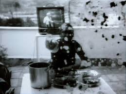 Bildergebnis für Sonia Andrade