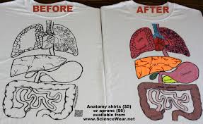A Gut Feeling Is A Chemical Signal Your Stomach Creates To Warn The Brain Of Danger Trust Your G Human Body Projects Human Body Unit Study Human Body Systems