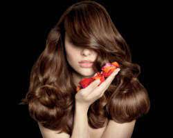 Newly renovated, you'll enjoy an upscale atmosphere in which our guests can relax and enjoy the latest and greatest hair trends, beauty, and spa services by top. Top 10 Hair Salons In Long Island Ny Best Local Hair Stylists