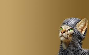 Find gifs with the latest and newest hashtags! High Resolution Funny Cat Hd Wallpaper Id Santa Pod Raceway 1920x1200 Wallpaper Teahub Io