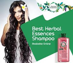 Moroccanoil dry shampoo is great for dry, dehydrated, or curly hair. 10 Best Herbal Essences Shampoos In India For Rejuvenated Hair 2021
