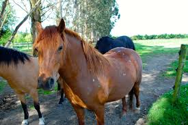 Up North - WordPress.com