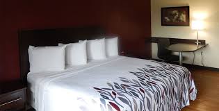 Expert ashland research, only at hotel and travel index. Budget Pet Friendly Hotel In Ashland Va 23005 Red Roof Inn Pet Friendly Hotels Red Roof