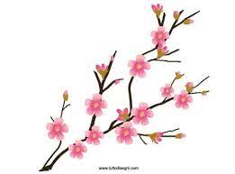 Fiori Archives Tutto Disegni Fiori Fiori Di Ciliegio Giapponesi Disegno Fiori