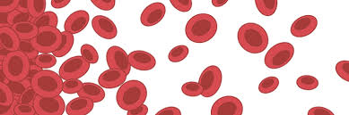 Image result for Anemia