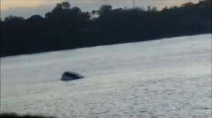 Tvradiomedia@gmail.com for feedback, we do. Mother And Child Feared Dead As Car Reverses Off Ferry In Kenya World News Sky News