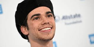 She loves her brother and always shares her happiness with her elder brother cameron boyce. Us Schauspieler Cameron Boyce Mit 20 Jahren Gestorben Nachrufe Derstandard De Kultur