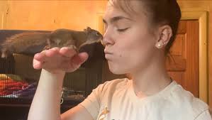 Fundraiser by Abigail Joseph : Give a Paw, Help Abigail Become a  Veterinarian!