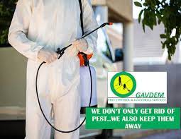 Affordable pest control provides services to rid your home or office of general pests and insects. Gavdem Pest Control Janitorial Services Ltd We Are A Well Equipped Pest Control Janitorial Service Company Located In Kingston Jamaica